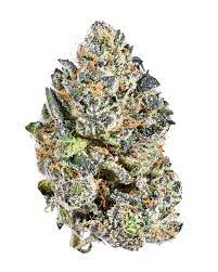 Tribal - Galactic Runtz 3.5g