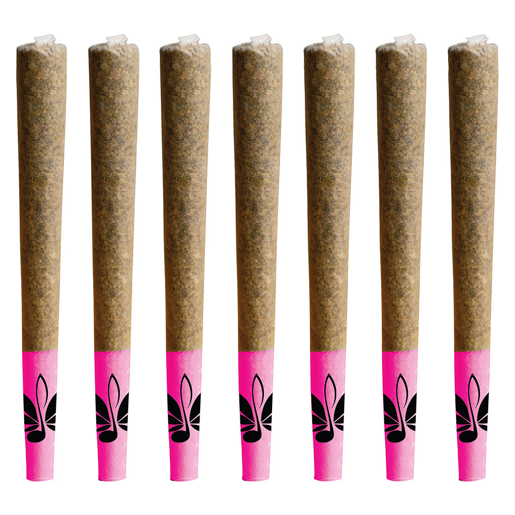 High Note - Black Gas Pre-Roll Pack - Indica - 10x0.5g