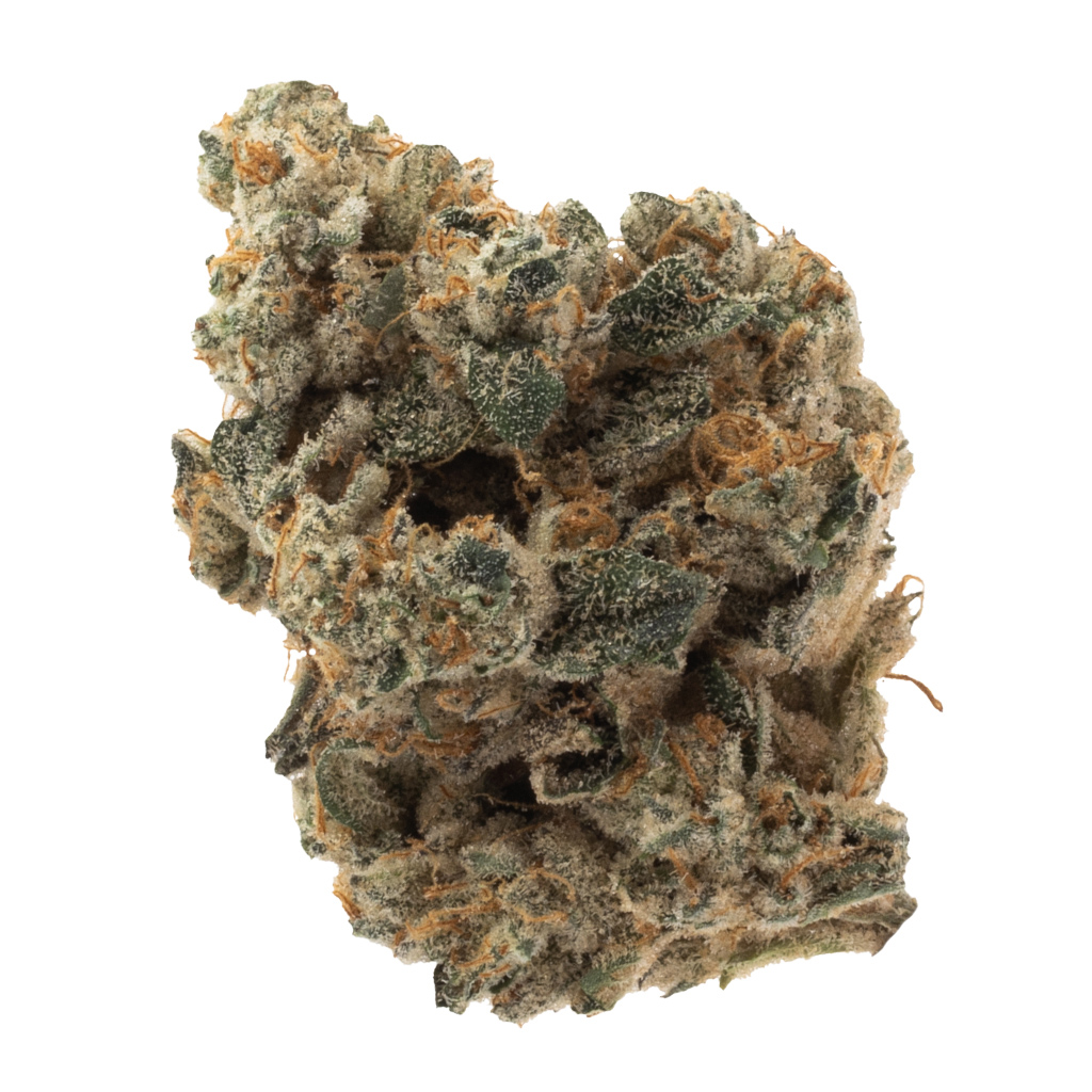 Ogen - Space Flight Superstar #11