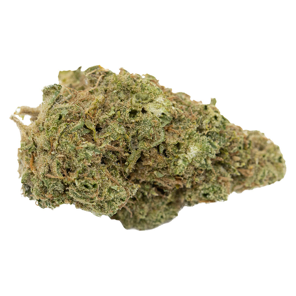 Melt - Dragon Cookies (Smalls)