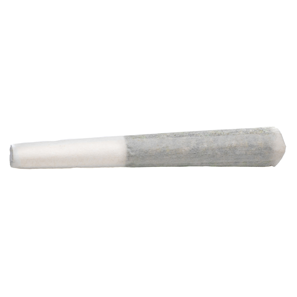 Bold - Craft Sampler pre rolls - 3x0.5g