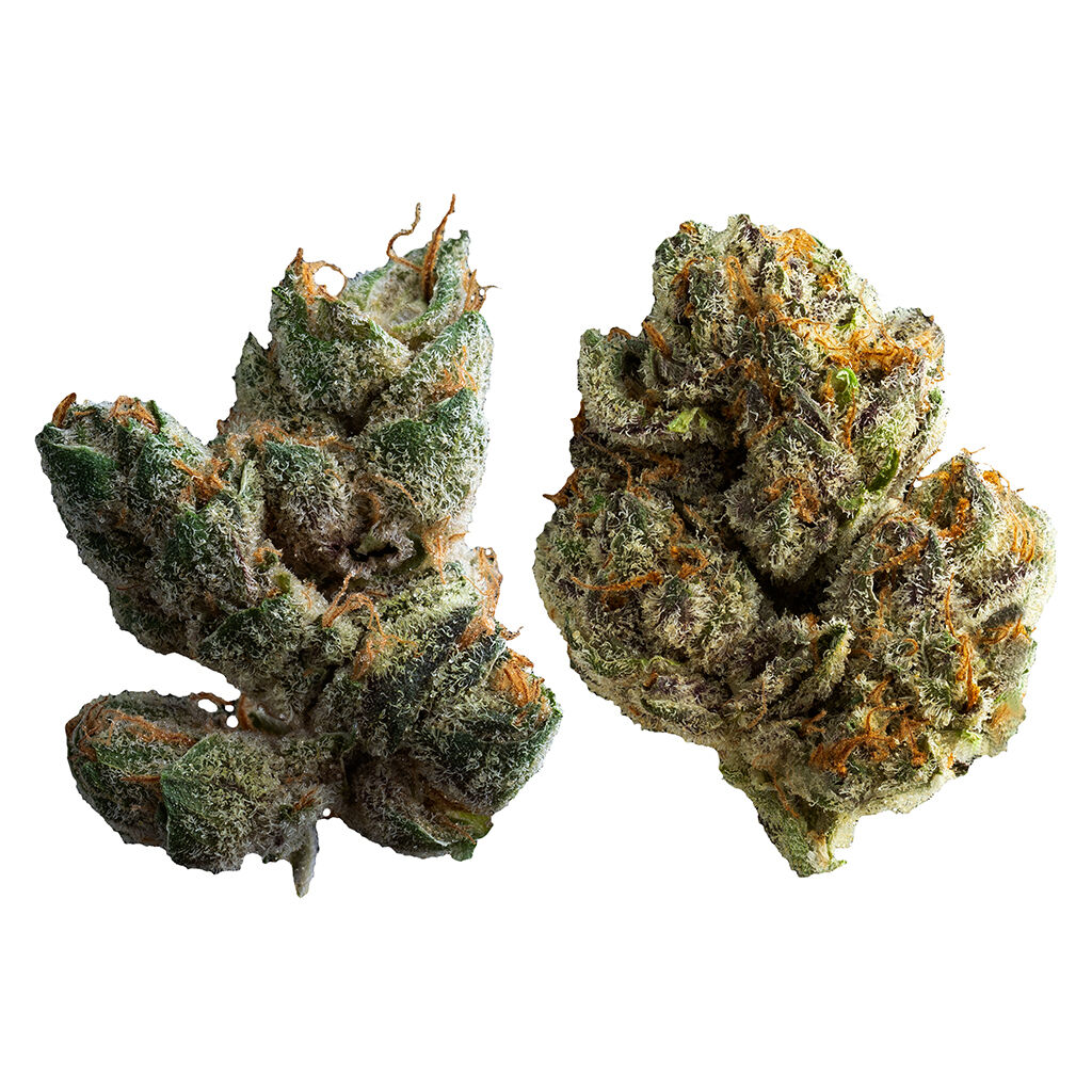Muskoka Grown - Power Pack