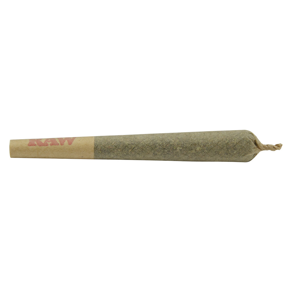 Common Ground - Blueberry Muffin Pre-Roll 10x0.5g - Common Ground - Blueberry Muffin Pre-Roll - Indica - 10x0.5g