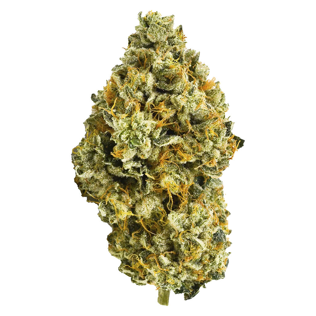 Weed Me Limited Batch - Medellin