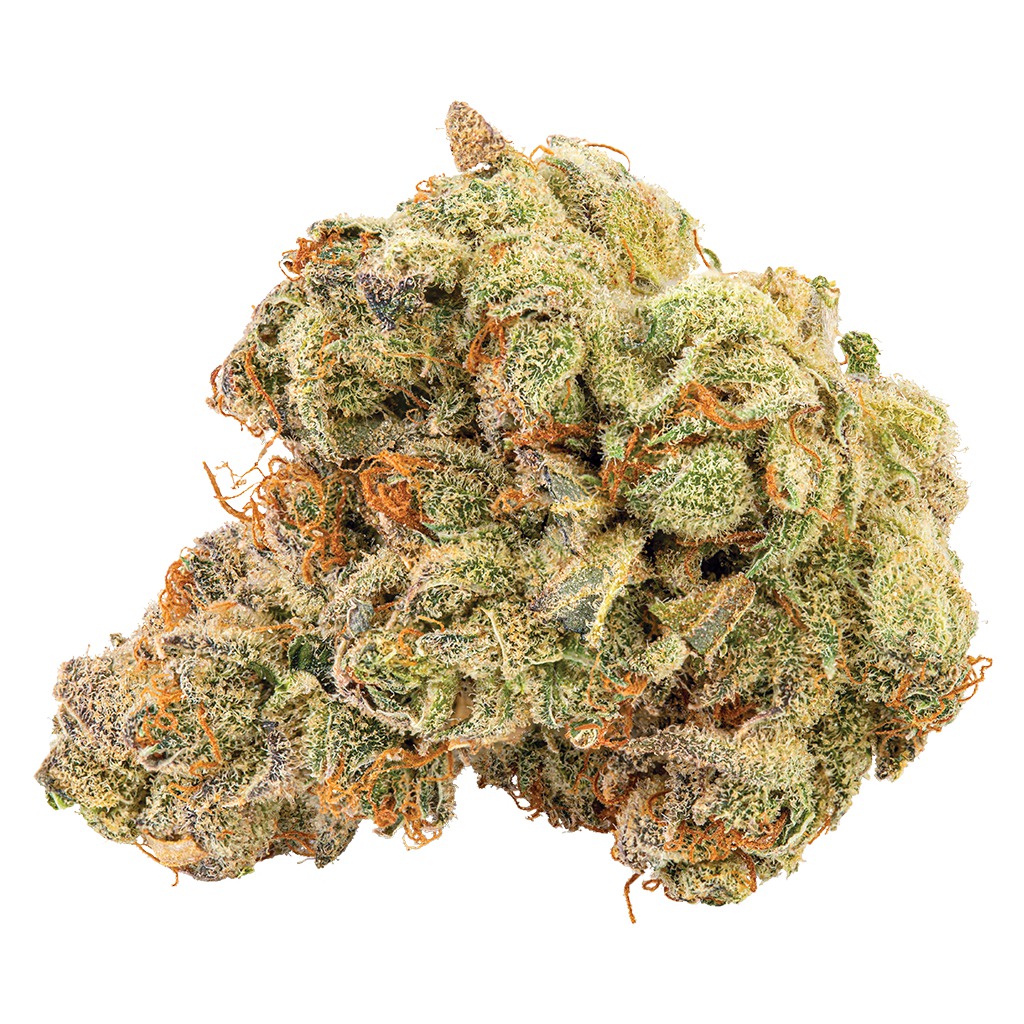 Big Bag O Buds - Orange Apricot
