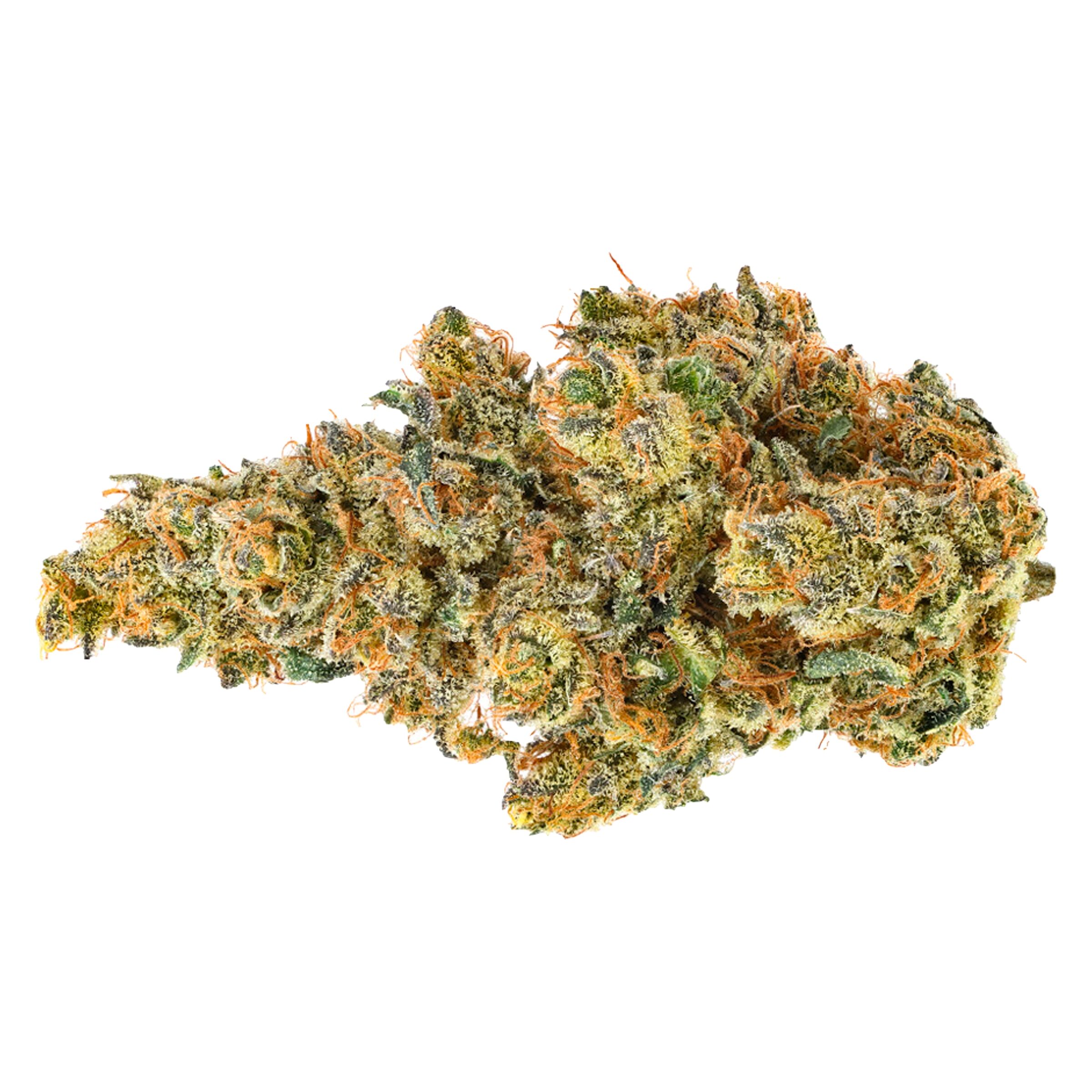 Coast Mountain Cannabis - BC Organic Dancehall