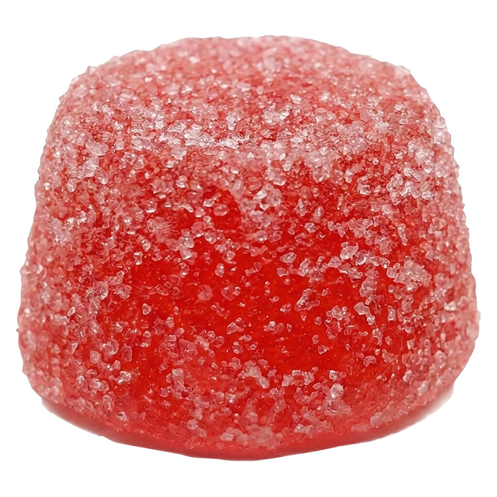 The Foundry - Batch: Watermelon No. 1 - Hybrid - 1 Pack
