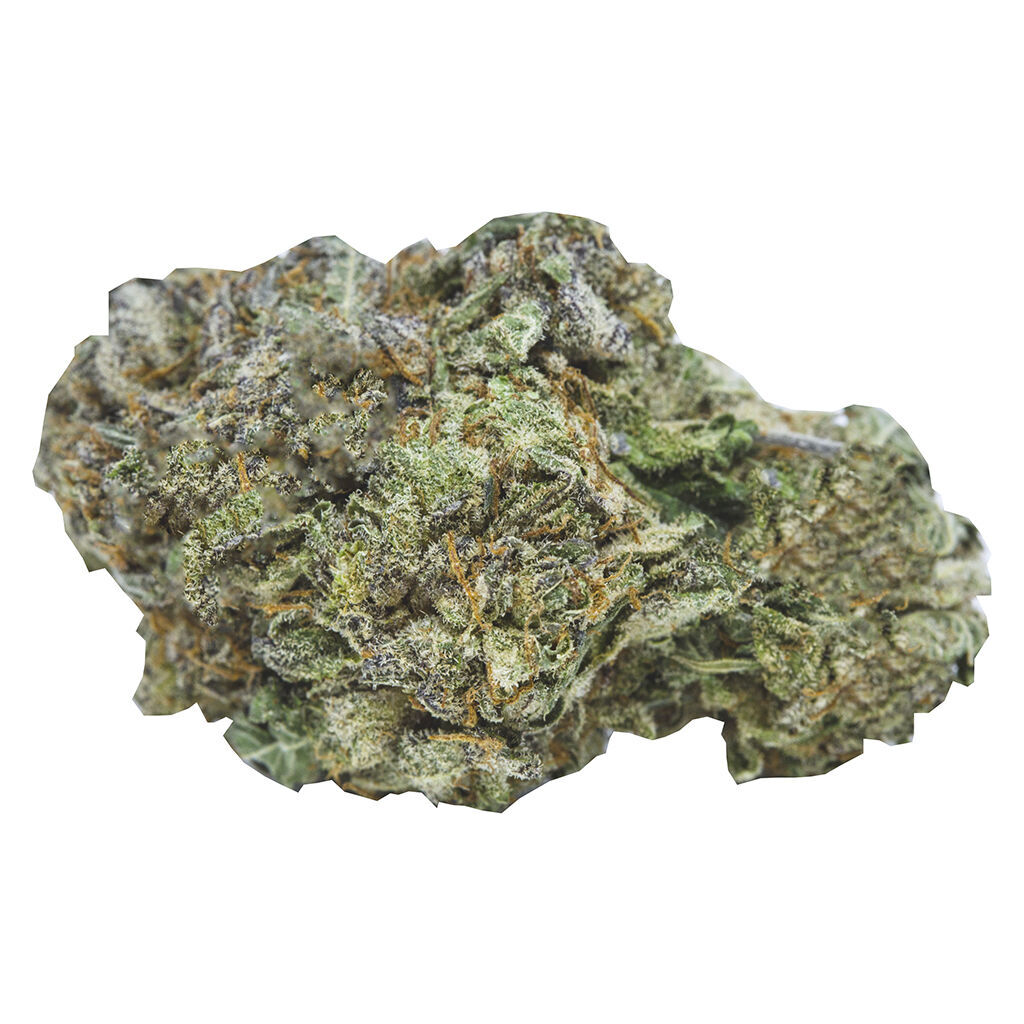 Weed Me	 - Ontario's Own Sativa