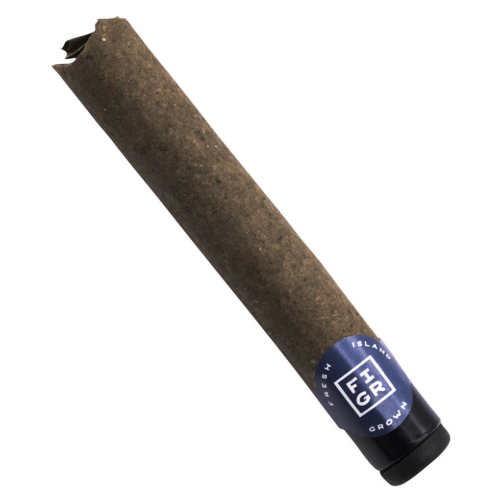 FIGR - Jungle Fumes Premium Glass Tip Blunt - Pre-Roll - Sativa - 1x1g