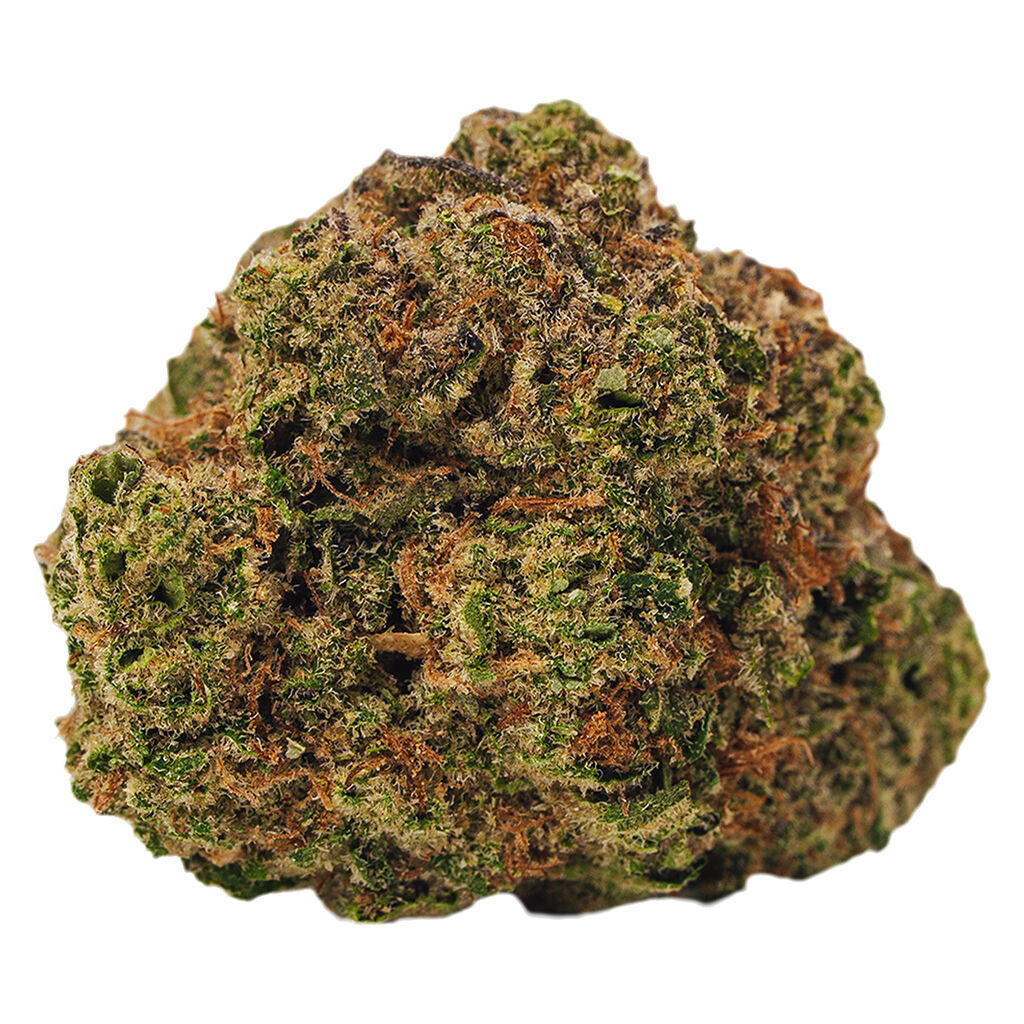 BOLD - Cool Aid Kush