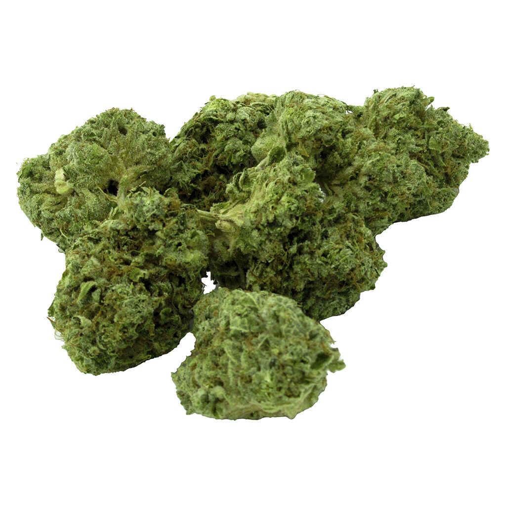 The BC Bud Co. - House Green Indica