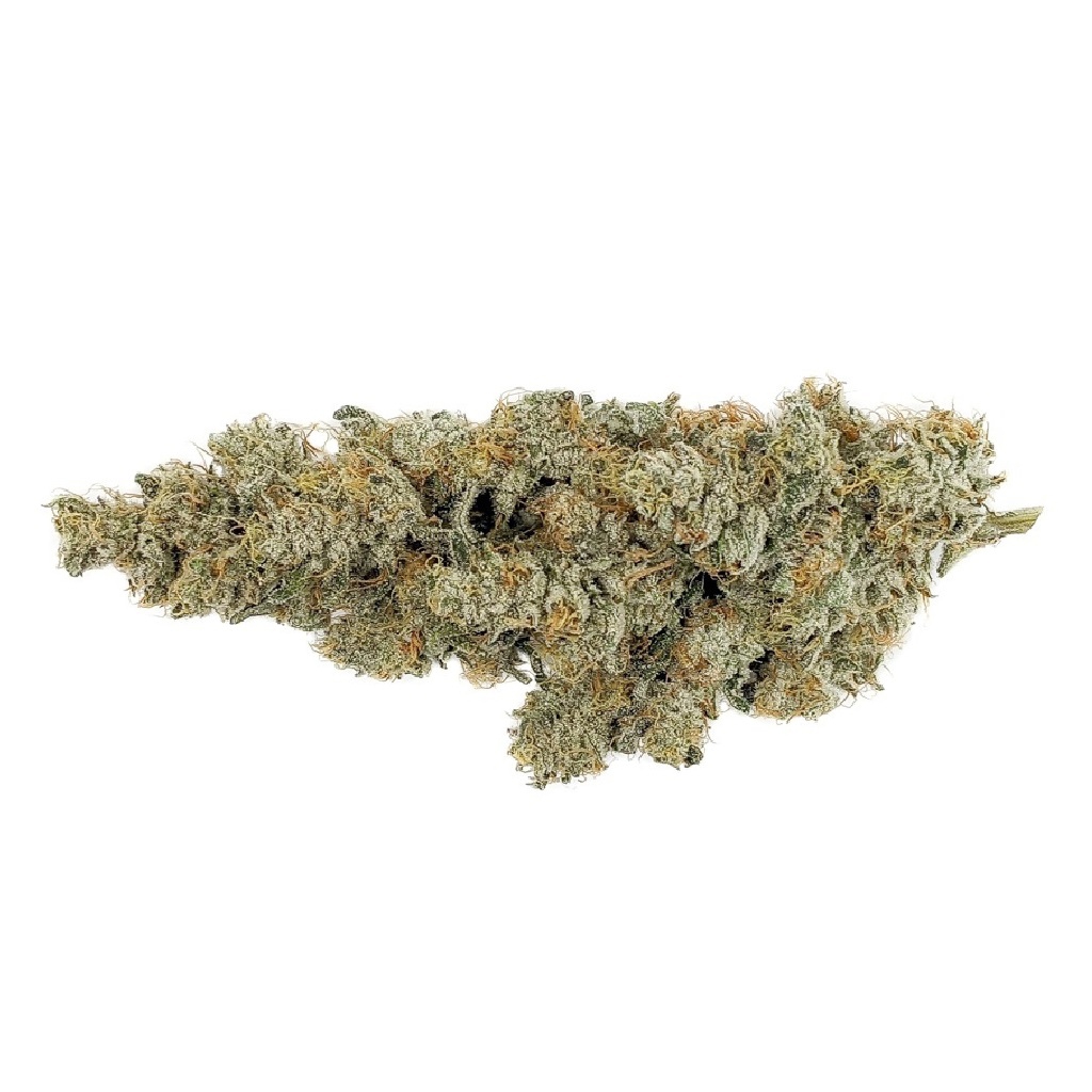 Msiku - ICC x Kush Mints 11