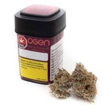OGEN - Bacio Punch #8