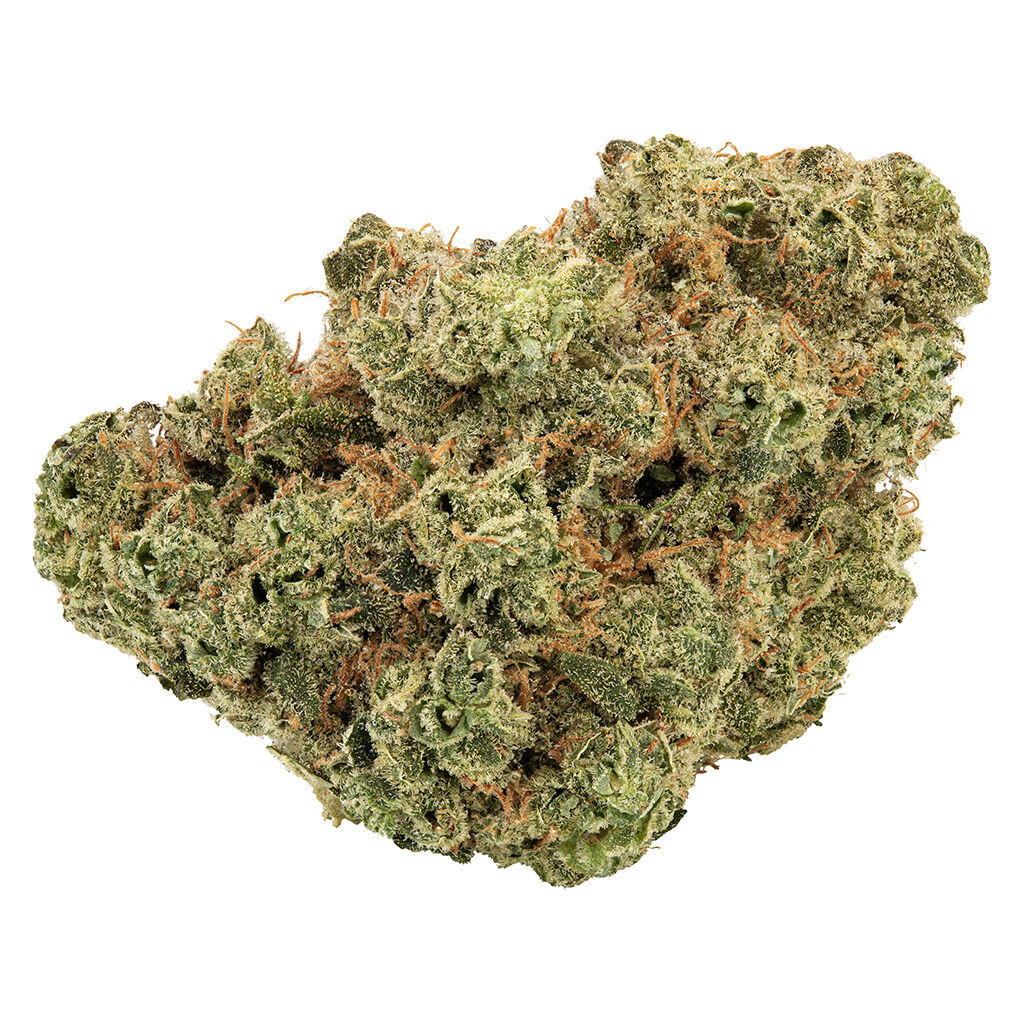 Trailblazer - Lemonade Haze