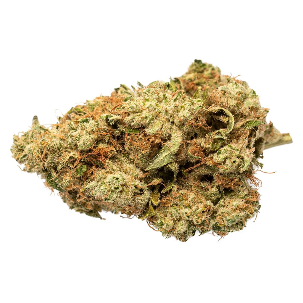 Grasslands - Indica