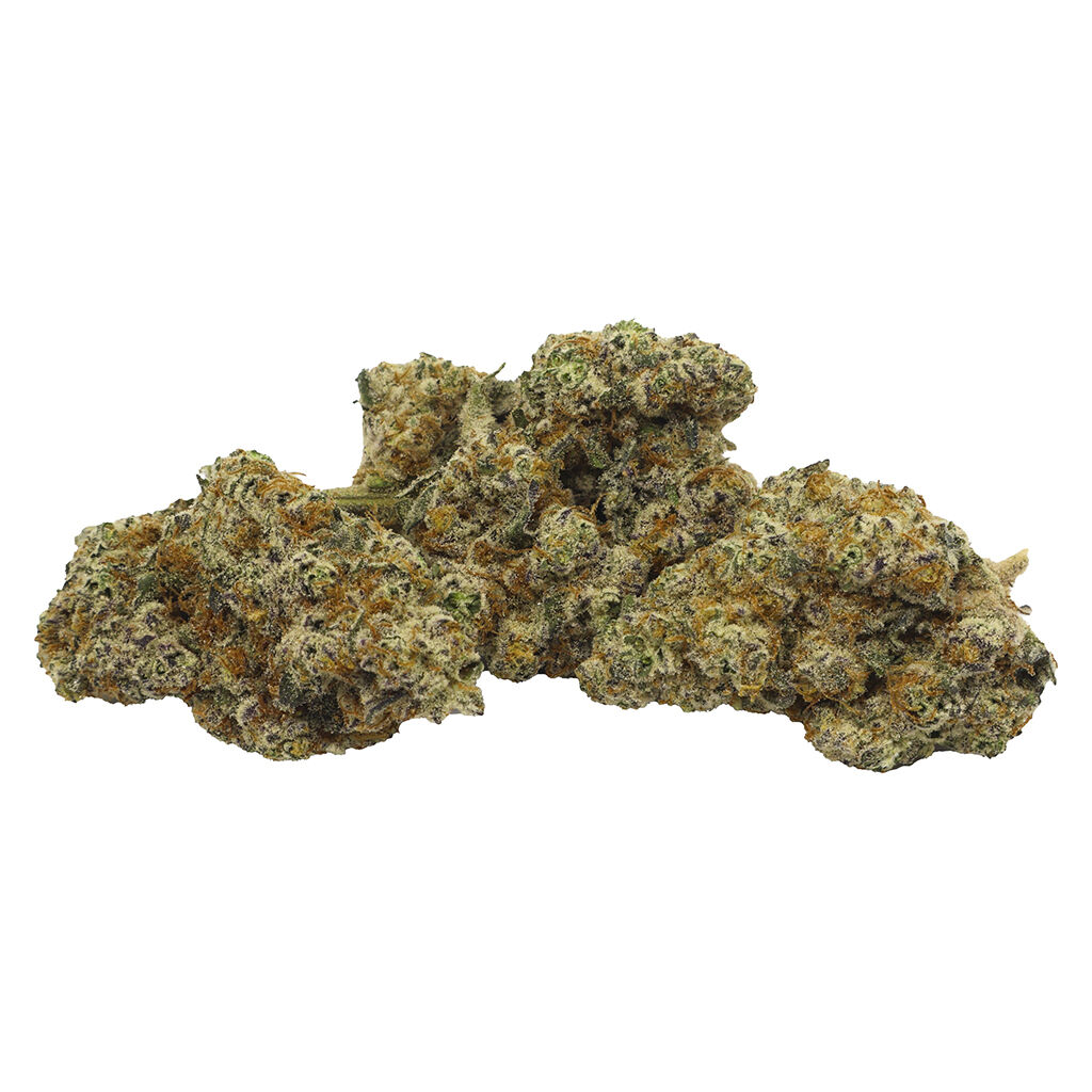 Violet Tourist - Superflower Classic Pack