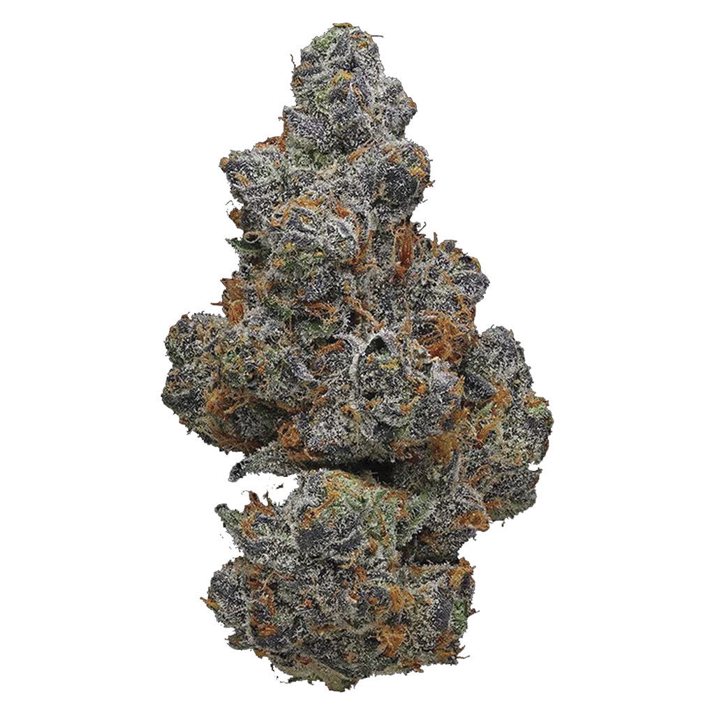 Potluck - Apple Fritter
