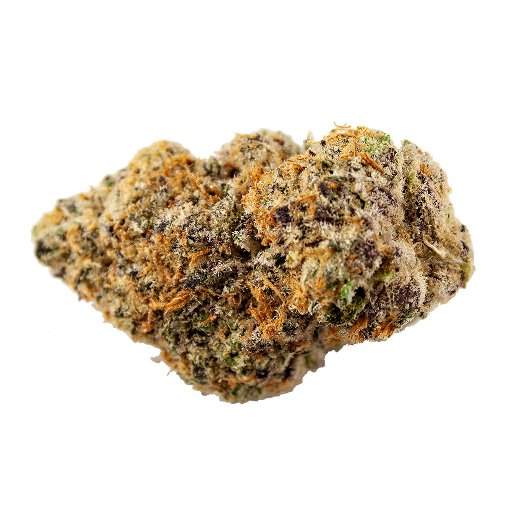 Saturday - Motor Breath