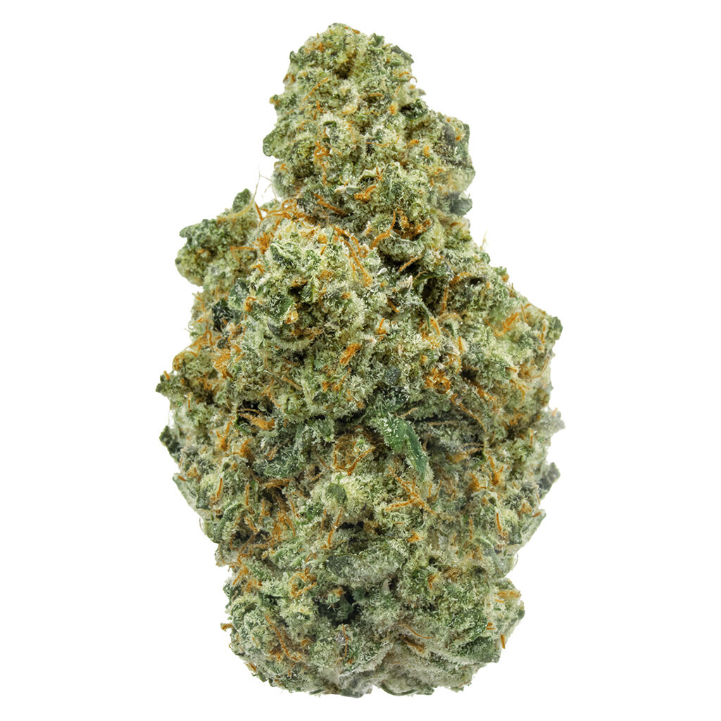 FOUR54 - ICC Jungle Mints