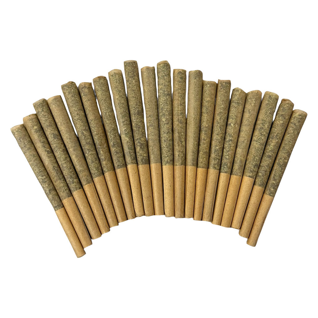 Buzz'd - Exotic Stingerz Pre-Roll - Sativa - 20x0.35g