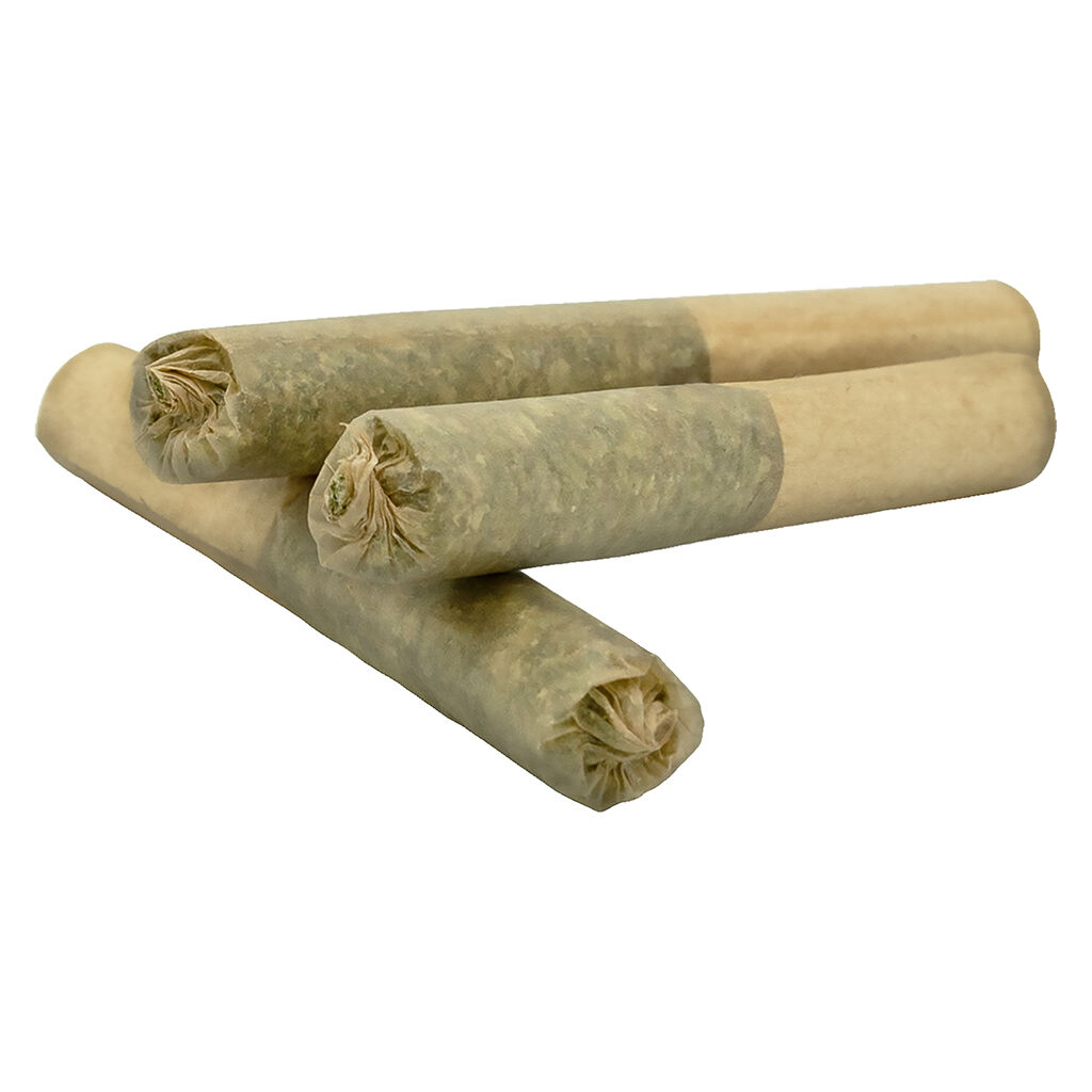 Lunch - Berry Bomb Shatter Infused Pre-Roll - Indica - 3x0.5g