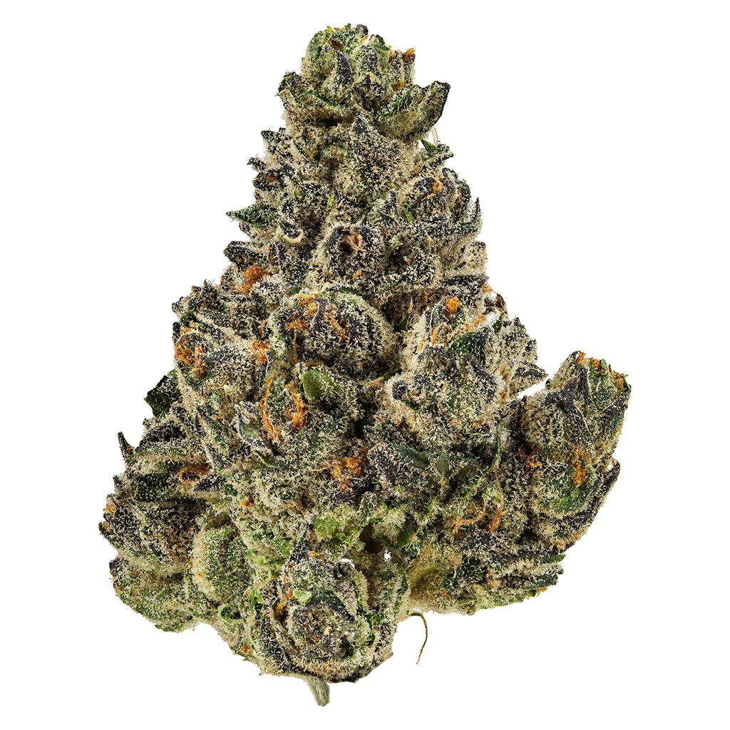 Cheers Cannabis - Lemonatti