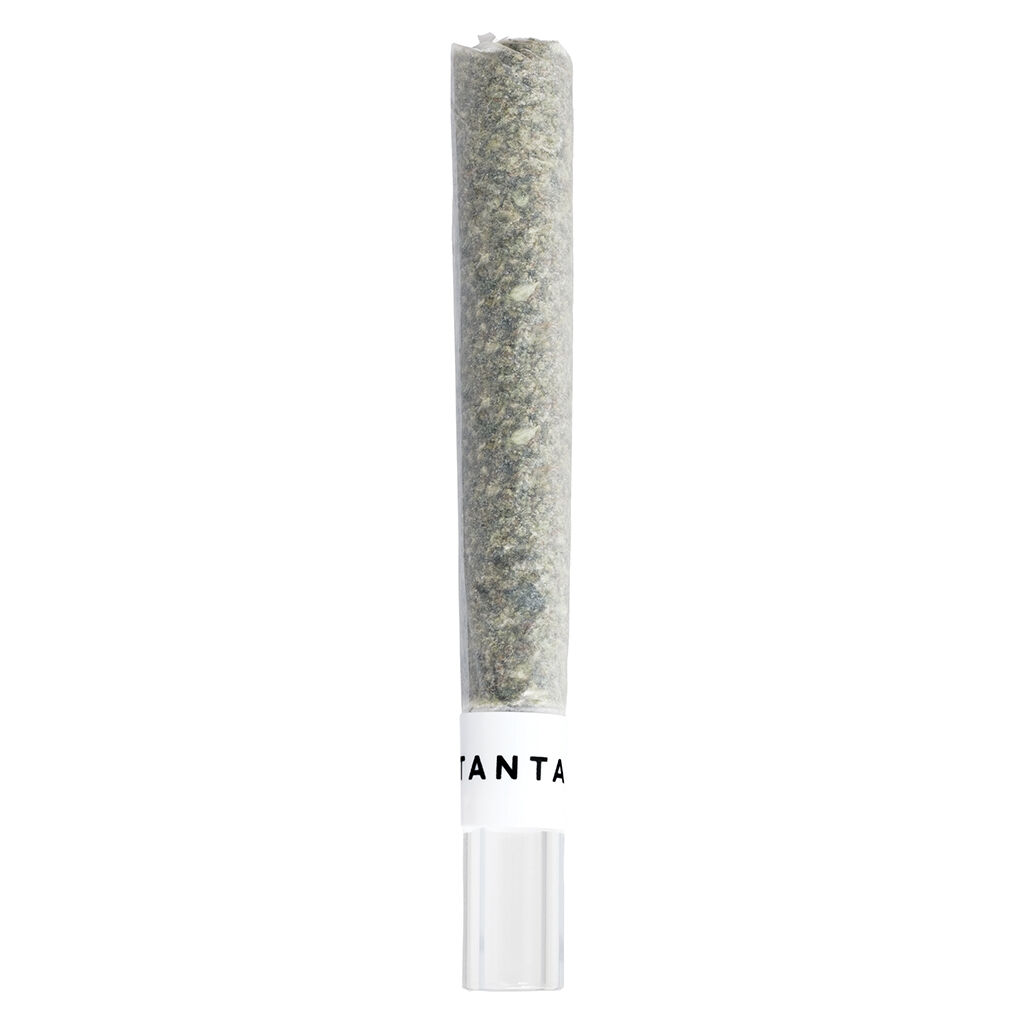 Tantalus - Pacific OG Glass Tip Pre-Roll 1x1g - Tantalus - Pacific OG Glass Tip Pre-Roll - Sativa - 1x1g