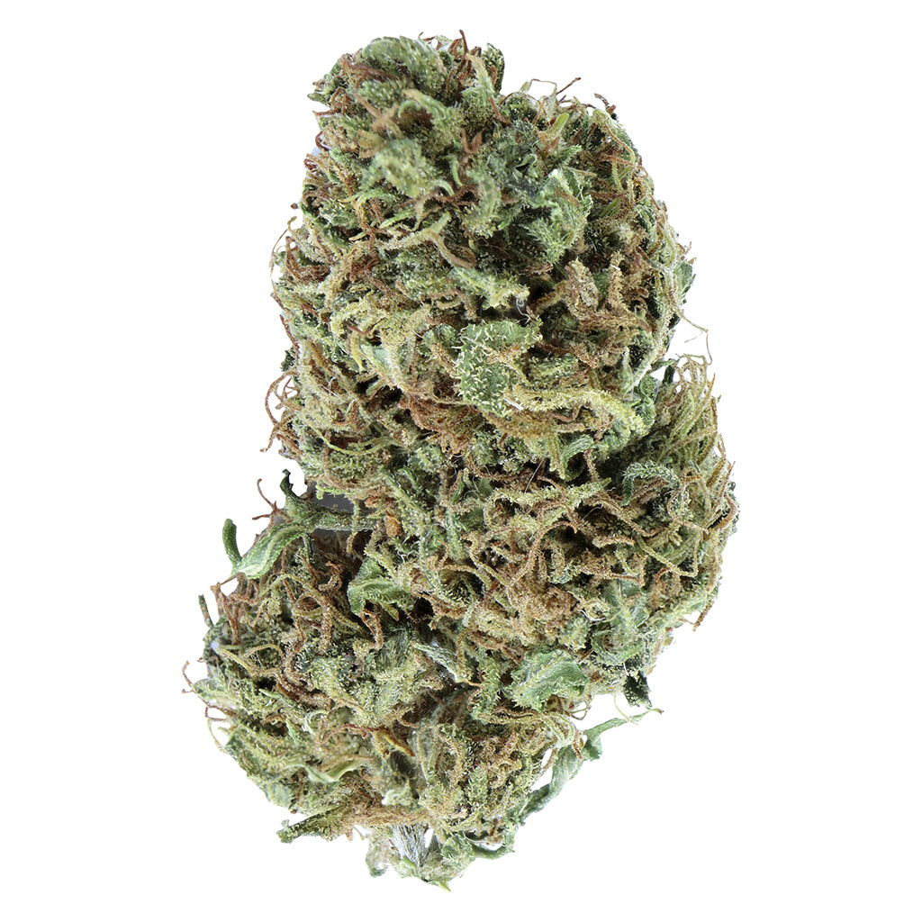 Encore - Indica Greatest Hits Vol. 1