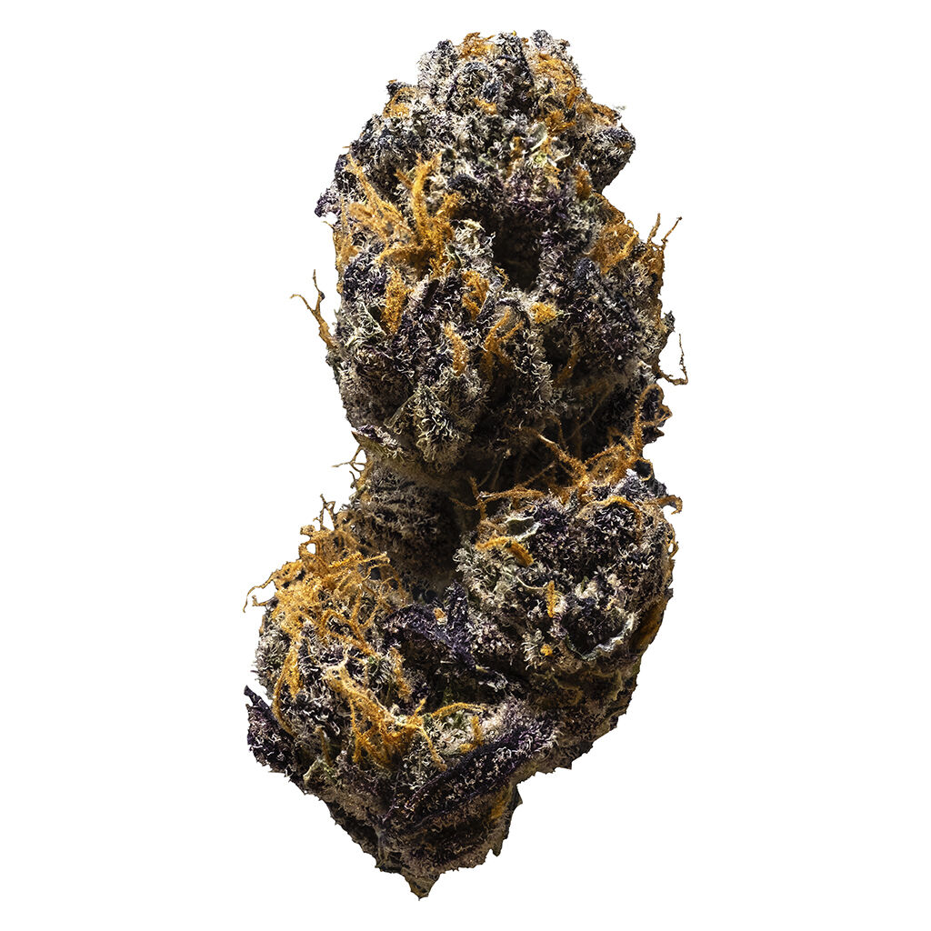 3rd Coast Genetics - Tagalongz