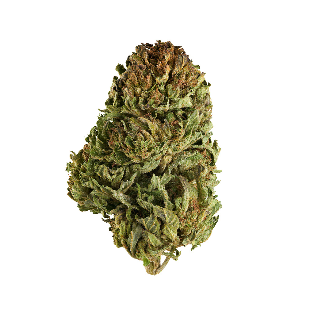 Greenman Acres Organics - Scotch Mountain