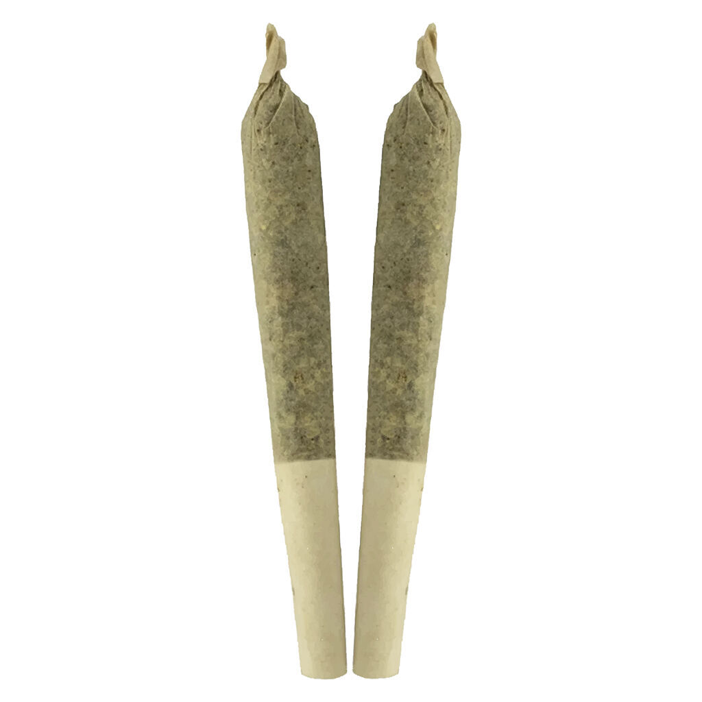 Sheeesh! - Key Lime Pie Pre-Roll - Indica - 2x1g
