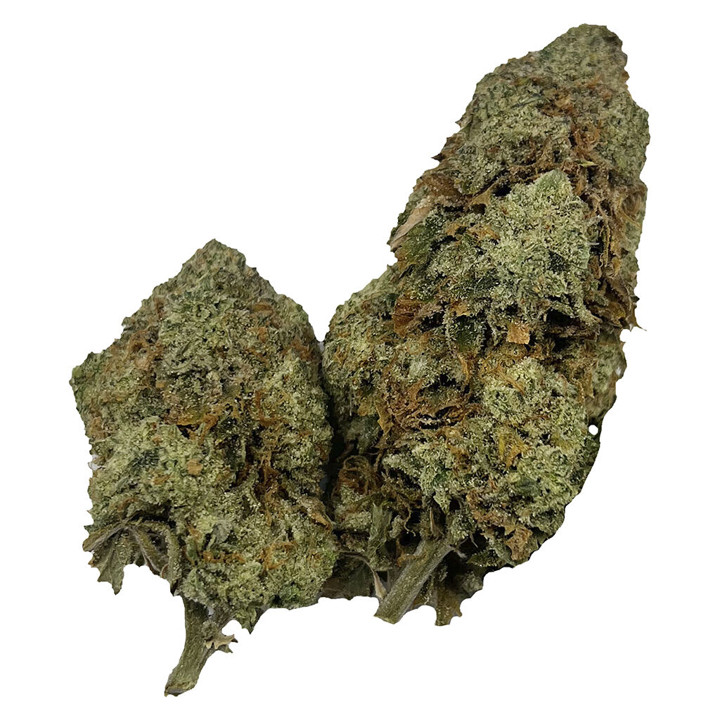 Puffer's Paradise - Honah Lee Haze