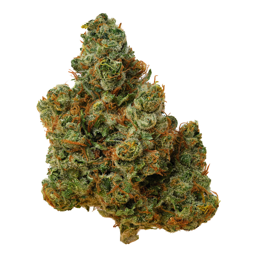 Pecko - Certified Organic Mmmosa Evo