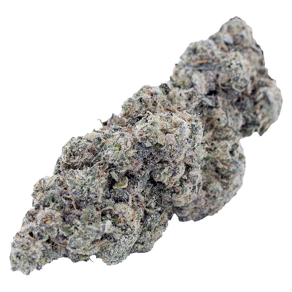 Janny's Flower - Quad Fire Sativa