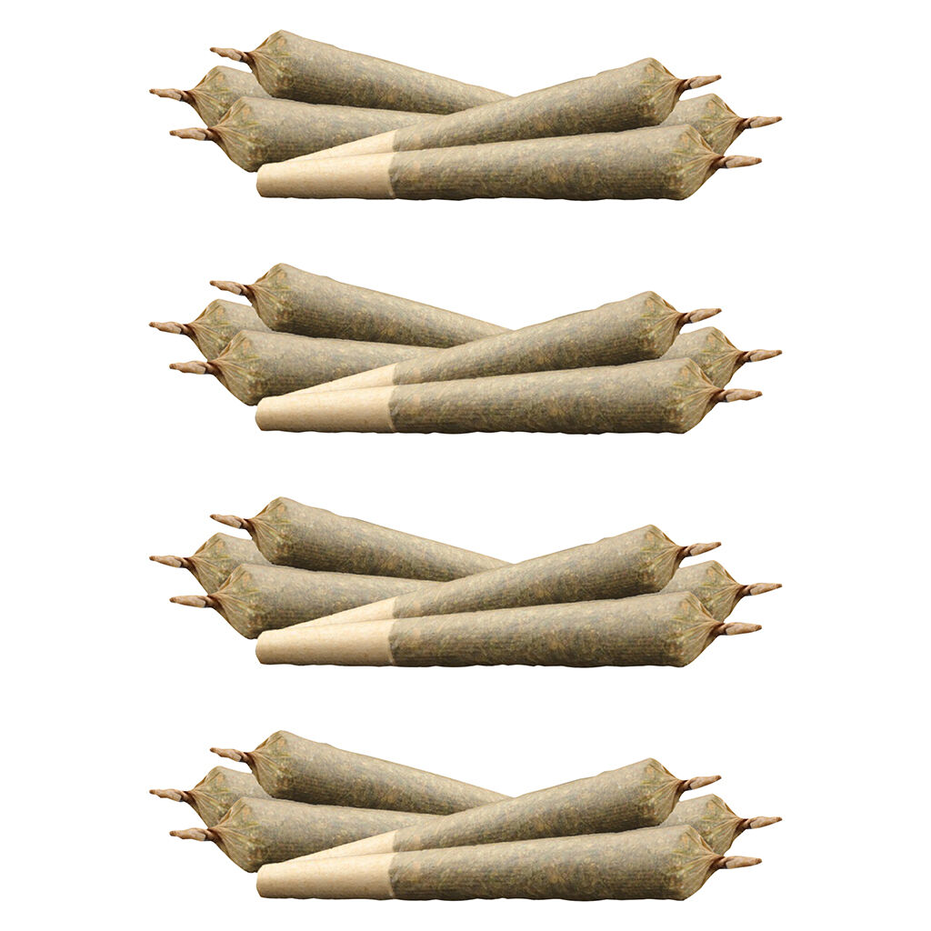 Weed Me Grind - Daily Grind Pre-Roll - Hybrid - 24x0.5g