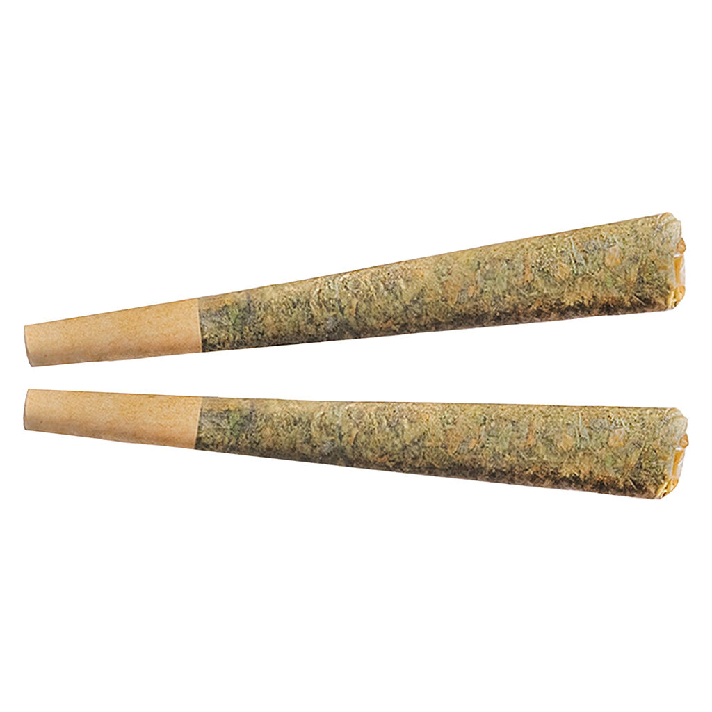 Fuego - Night Rider Pre-Roll 2x1g - Fuego - Night Rider Pre-Roll - Indica - 2x1g