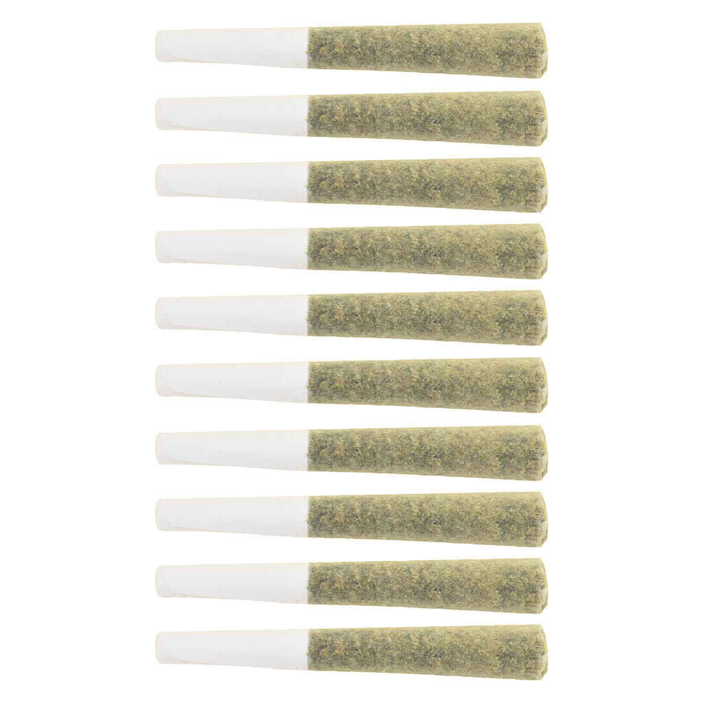 The Loud Plug - Exotic Gas Pre-Roll - Indica - 10x0.5g