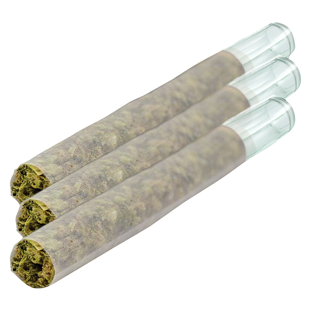 Puffer's Paradise - Magik Dragon Glass Tip Pre-Roll - Indica - 3x0.5g