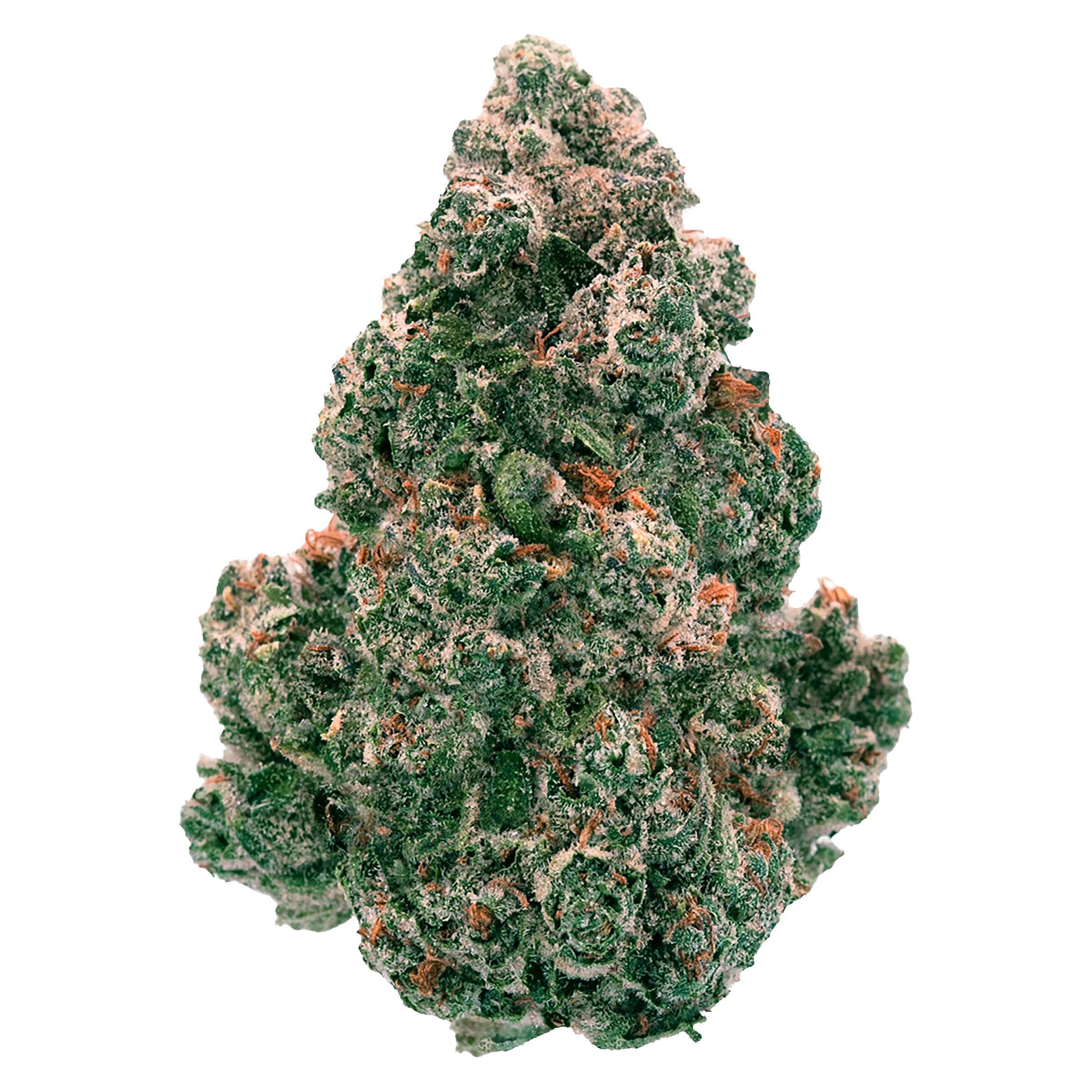 Back Forty - Liquid Imagination 14g