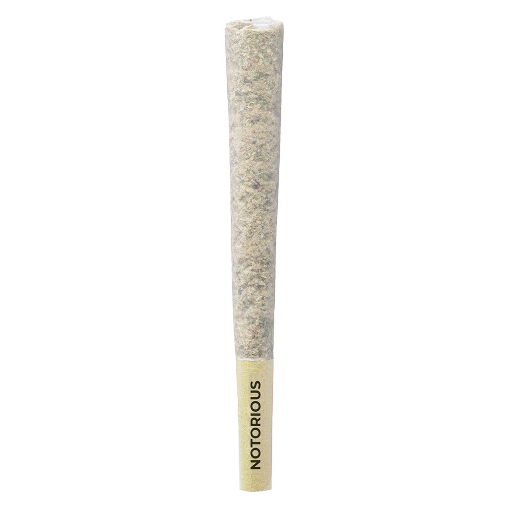Pistol and Paris - Notorious Pre-Roll 3x0.5g - Pistol and Paris - Notorious Pre-Roll - Indica - 3x0.5g