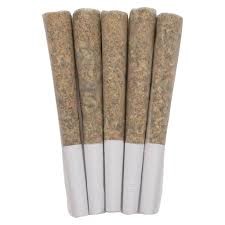 West Coast Gas - Old School Fuel Pre-Roll 5x0.7g - West Coast Gas - Old School Fuel Pre-Roll - Indica - 5x0.7g