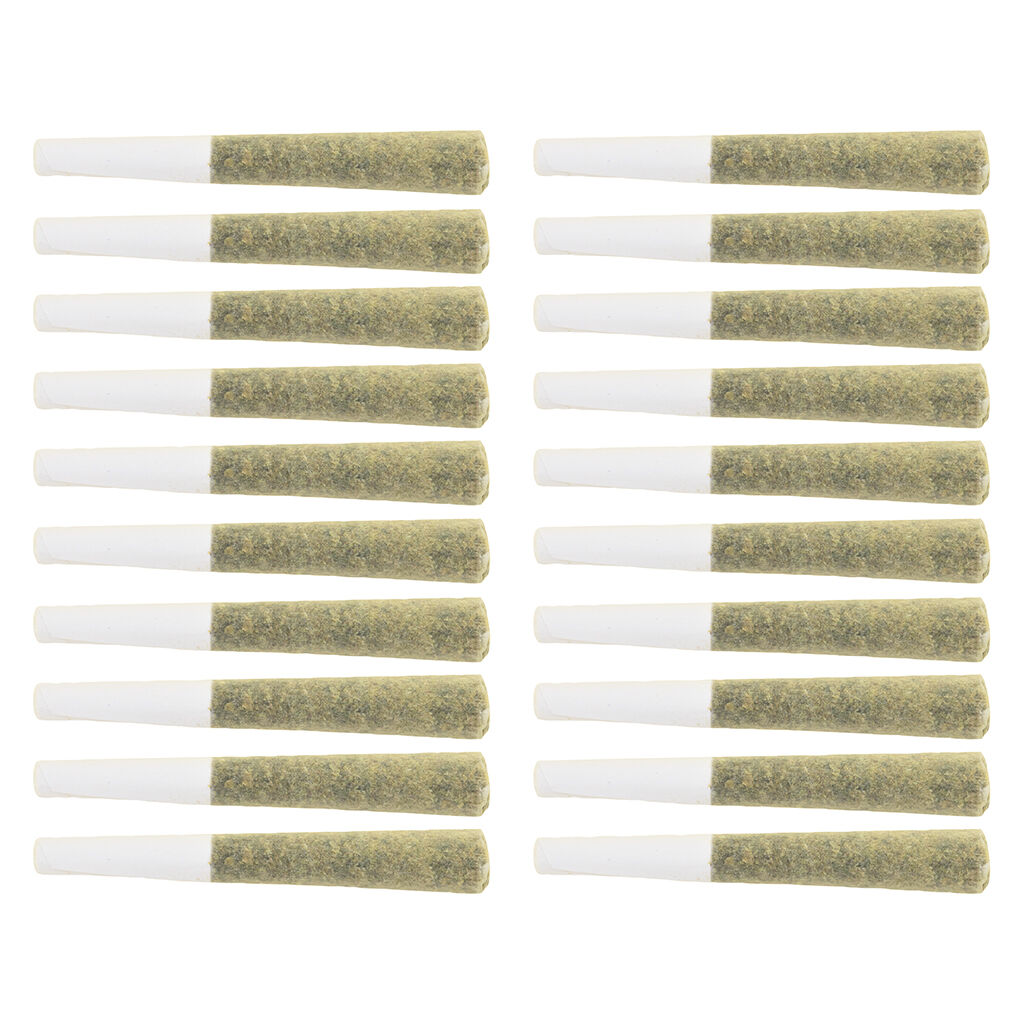 The Loud Plug - Multi G Pack Pre-Roll - Hybrid - 20x0.5g