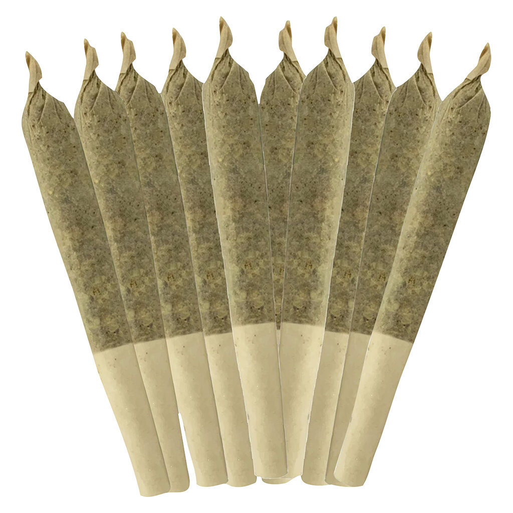 Coterie - Terp Team Pre-roll – Caryophyllene & Myrcene - Indica - 10x0.35g