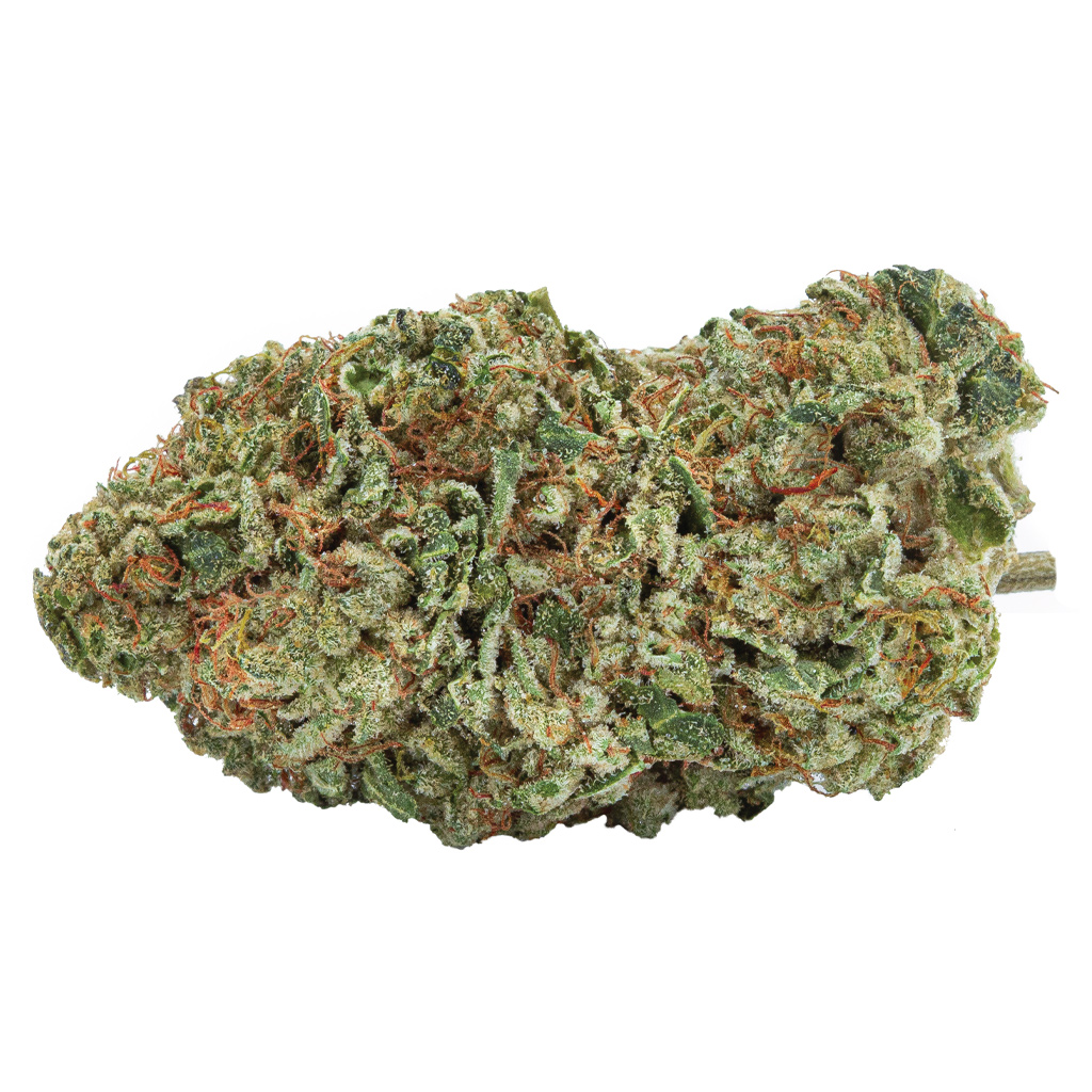 The Green Organic Dutchman - Organic Maple Kush