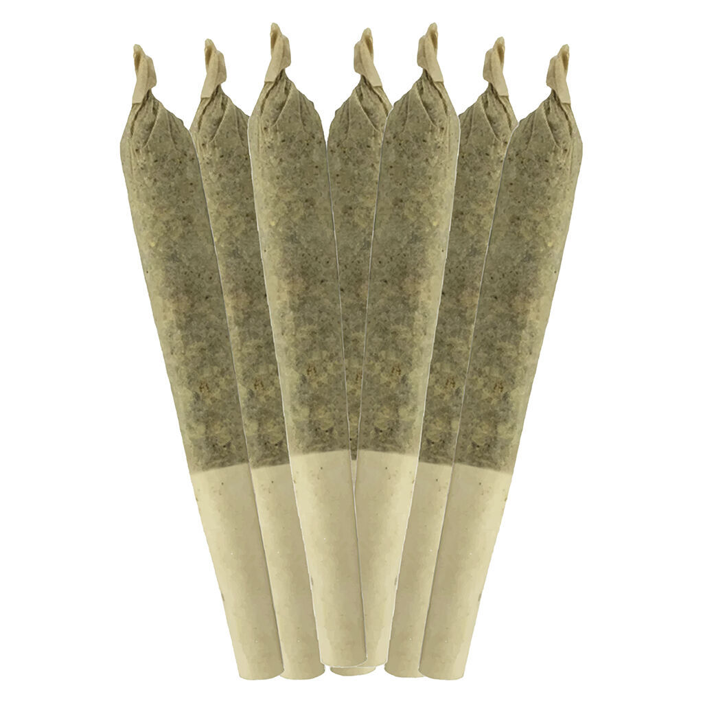 Sheeesh! - Bluefin Tuna Pre-Roll - Indica - 7x0.5g