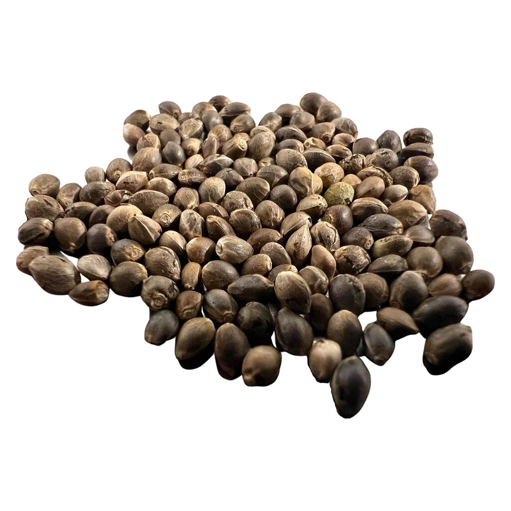 Great Gardener Farms - René Full Spectrum Collection Seeds - Hybrid - 5 Pack