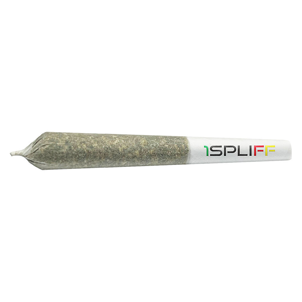 1Spliff - Quantum Kush - Sativa - 1x0.5g