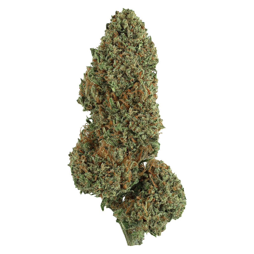 Faded - Diesel Cake