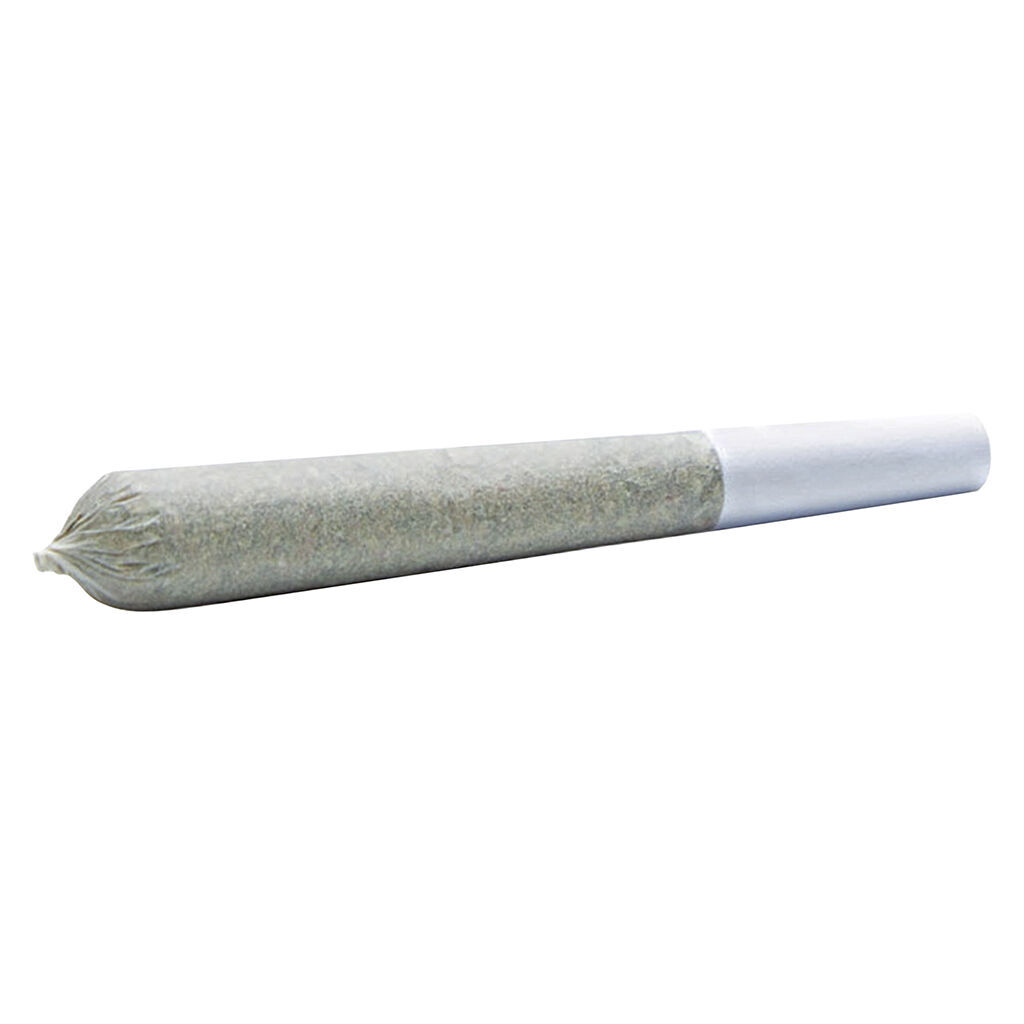 Wildlife Cannabis Co. - Golden Banana 1:1 Balanced Pre-Roll - Hybrid - 10x0.3g