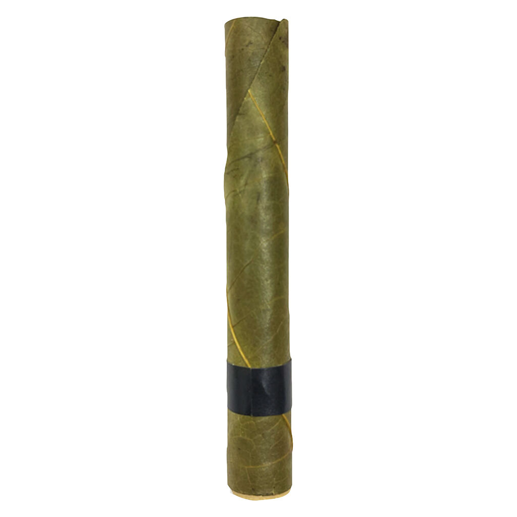 WINK - Pablo's Infused Blunt - Hybrid - 1x2g